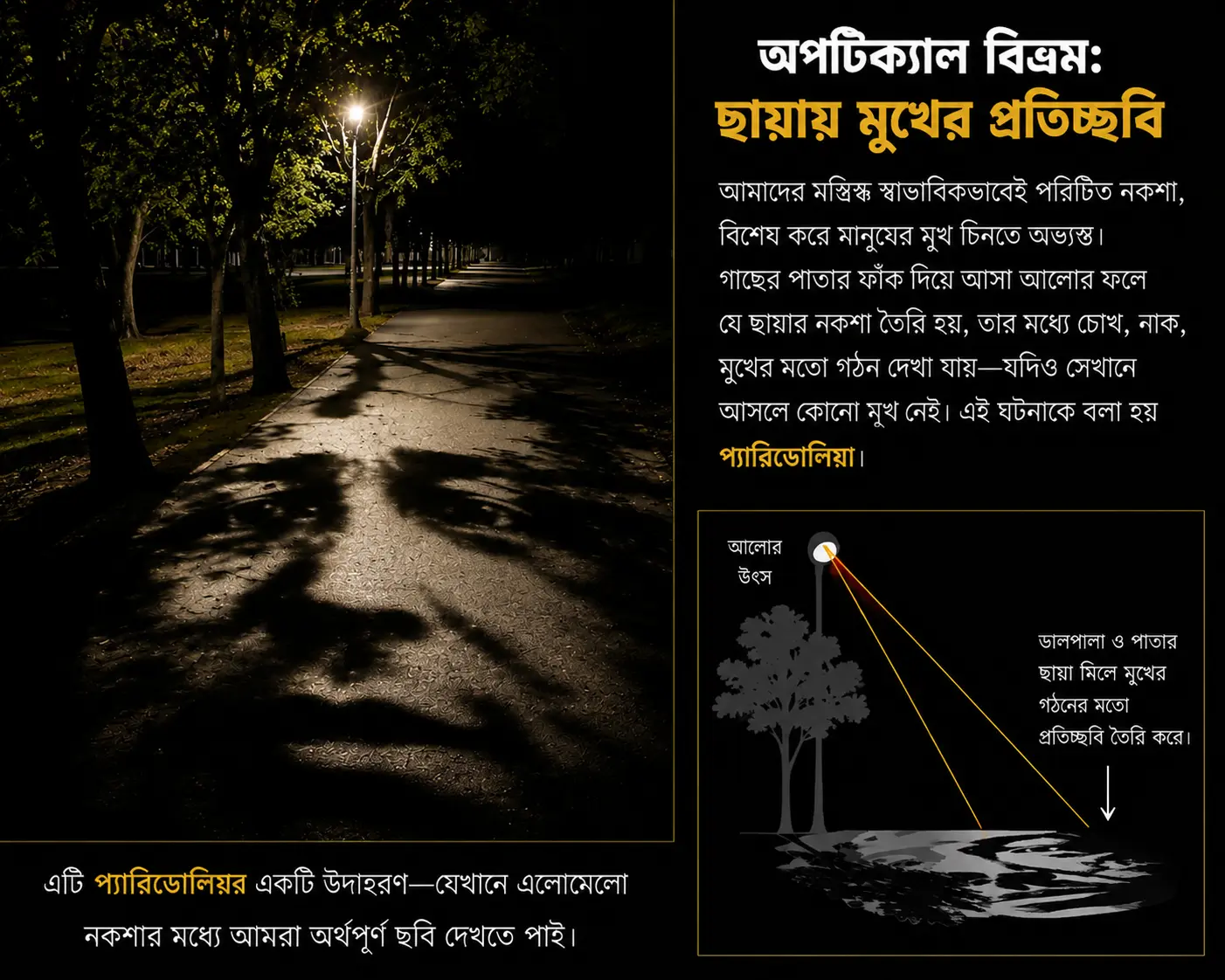 অন্ধকারে গাছের ছায়া মানুষের মতো দেখাচ্ছে